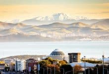 Visa Sponsorship in Wellington